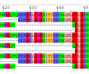 Portion of the MAFFT alignment with Zappo colouring, note the three Q's aligned with E's at position 446.