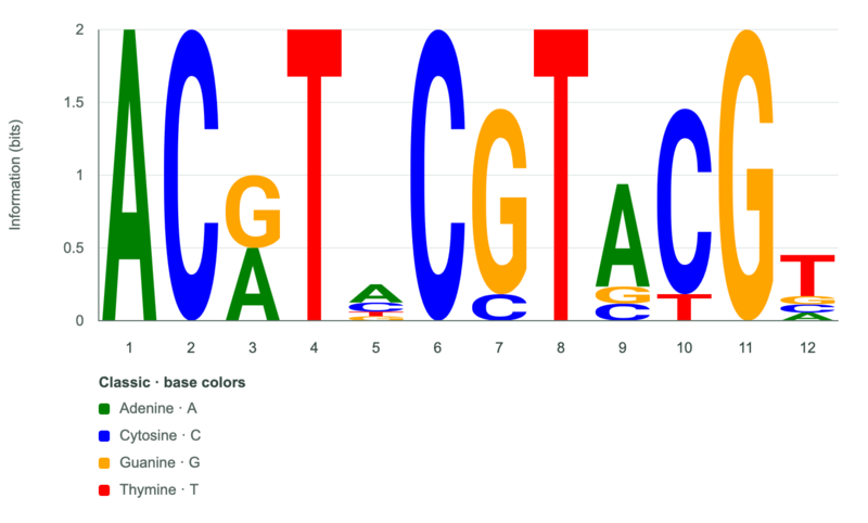 File:Example sequence-logo-dna-shannon.png