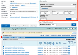 Figure 3. Partial screenshot of the PSI-BLAST interface before running Iteration 2. The red square shows how to change the settings for the run.