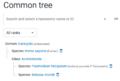 Thumbnail for version as of 14:08, 6 October 2026