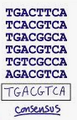 Thumbnail for version as of 12:34, 5 September 2025