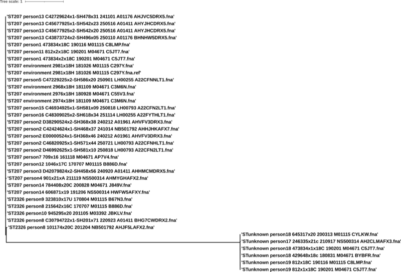 File:Full tree.png