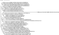 Thumbnail for version as of 01:07, 9 January 2026